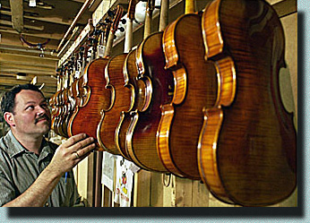 Marc, Vermont vioin maker, with just some of the violins available for rental or purchase at Gregoire's Violin Shop